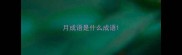 月成语是什么成语
