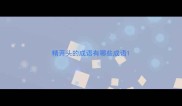 精开头的成语有哪些成语
