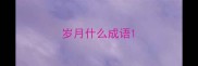 岁月什么成语
