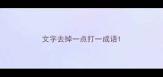 文字去掉一点打一成语