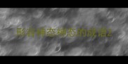 形容神态神态的成语