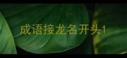 成语接龙名开头
