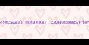 100个带二的成语全附用法和典故二成语的常见搭配及学习技巧