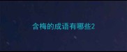 含梅的成语有哪些