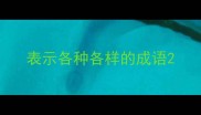 表示各种各样的成语