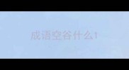 成语空谷什么
