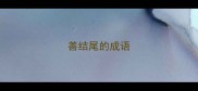 善结尾的成语