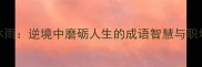 鞭风沐雨逆境中磨砺人生的成语智慧与职场启示