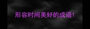 形容时间美好的成语
