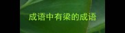 成语中有梁的成语