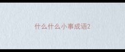 什么什么小事成语