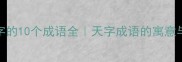 中间带天字的10个成语全天字成语的寓意与使用场景