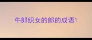 牛郎织女的郎的成语