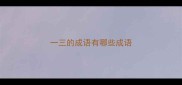 一三的成语有哪些成语