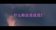 什么断丝连成语