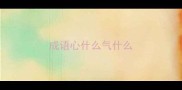 成语心什么气什么