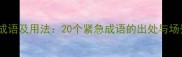 表示危急的成语及用法20个紧急成语的出处与场景应用指南
