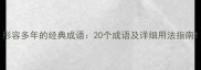 形容多年的经典成语20个成语及详细用法指南