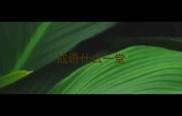 成语什么一堂