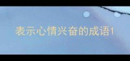 表示心情兴奋的成语