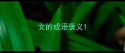 文的成语褒义