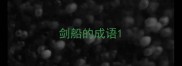 剑船的成语