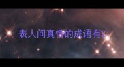 表人间真情的成语有