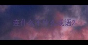 连什么不什么成语