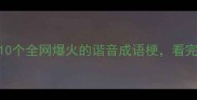 不什么下什么10个全网爆火的谐音成语梗看完秒变朋友圈文豪