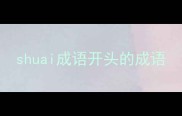 shuai成语开头的成语