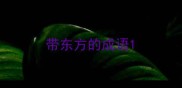 带东方的成语