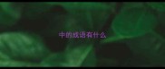 中的成语有什么
