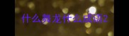 什么舞龙什么成语