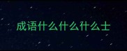 成语什么什么什么士