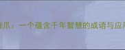 张牙舞爪一个蕴含千年智慧的成语与应用指南