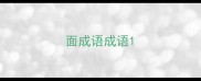 面成语成语