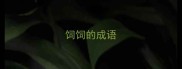 饲饲的成语