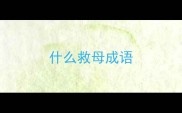 什么救母成语