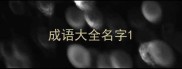 成语大全名字