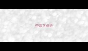 带晶字成语