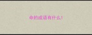 命的成语有什么