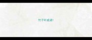 竹子叶成语