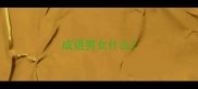 成语男女什么