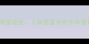 耳目通明成语全人体感官中的中华智慧密码