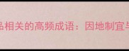 推荐替代品相关的高频成语因地制宜与随机应变