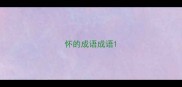 怀的成语成语
