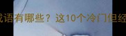 第二个字是鸟的成语有哪些这10个冷门但经典考试作文加分
