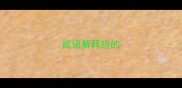 成语解释短的