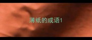 薄纸的成语