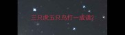 三只虎五只鸟打一成语